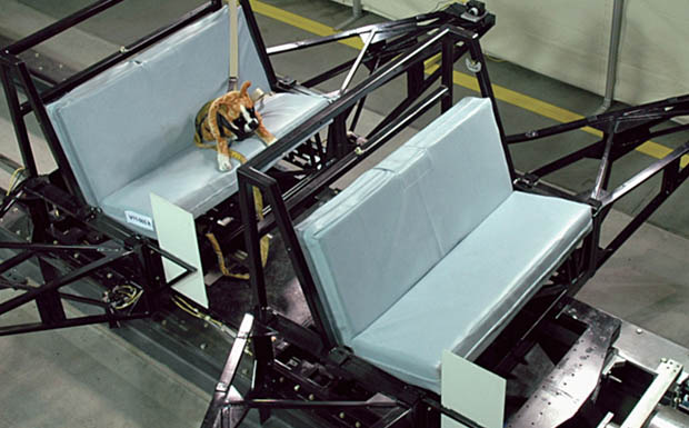Crashtest mit Dummy-Hund Crashtest mit Dummy-Hund