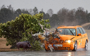 ADAC Crashtest mit Wildschwein-Dummy ADAC Crashtest mit Wildschwein-Dummy