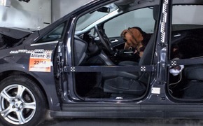 Allianz-Crashtest zur Hundesicherung Allianz-Crashtest zur Hundesicherung