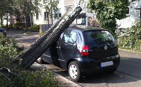 Sturmschaden Auto