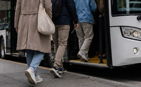 Bus