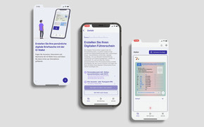 digitaler Führerschein digitaler Führerschein