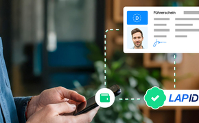 Digitaler Führerschein, Führerscheinkontrolle, LapID