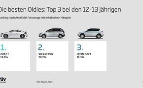 TÜV-Report 2024 Charts
