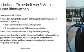 TÜV-Report 2024 Charts