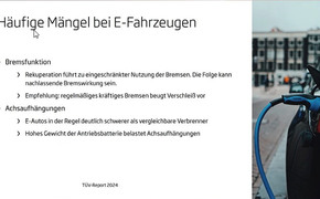 TÜV-Report 2024 Charts